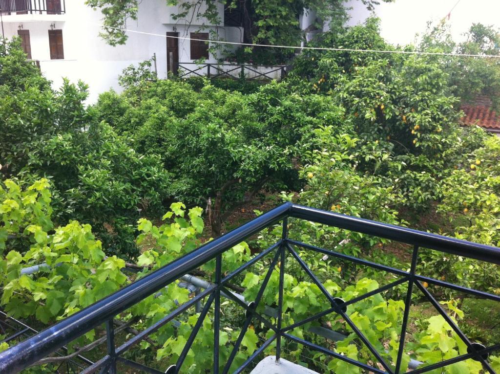 Hotel Eleana Agios Ioannis (Thessaly) Exterior foto